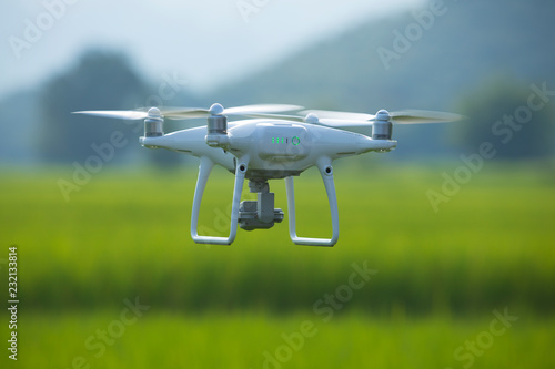 Drones fly over the fields of rice.Using drones in agriculture