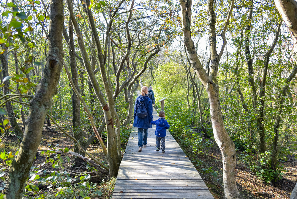 Wanderung durch Dünenwald auf Insel Amrum Wanderung durch Dünenwald auf Insel Amrum
