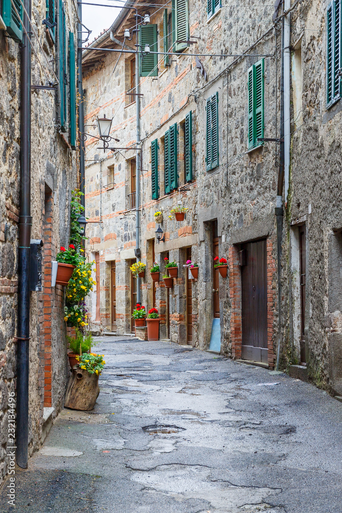 Fototapeta premium Idyllic alley with flowers in an old district