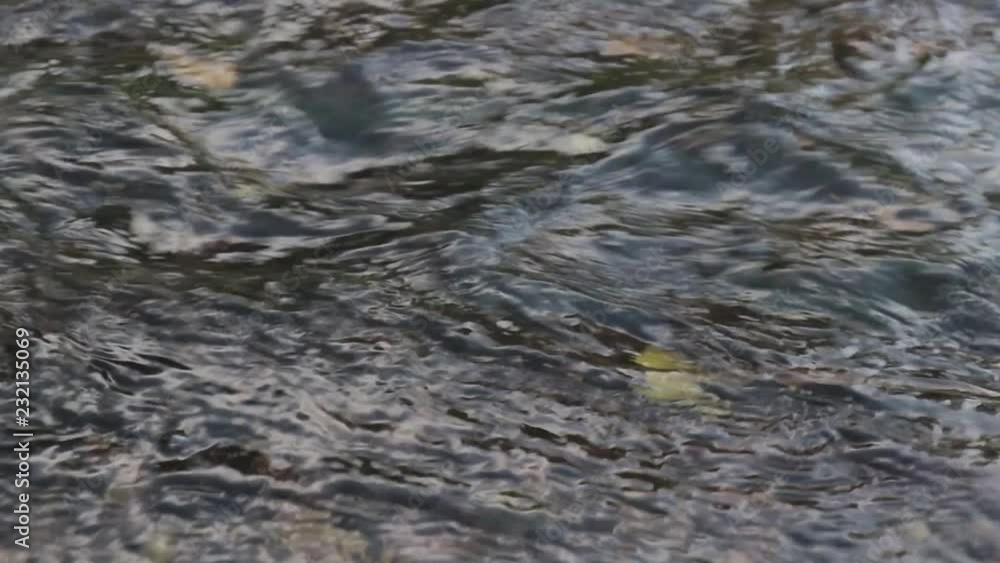 Bach mit schnell fließendem Wasser Bach mit schnell fließendem Wasser