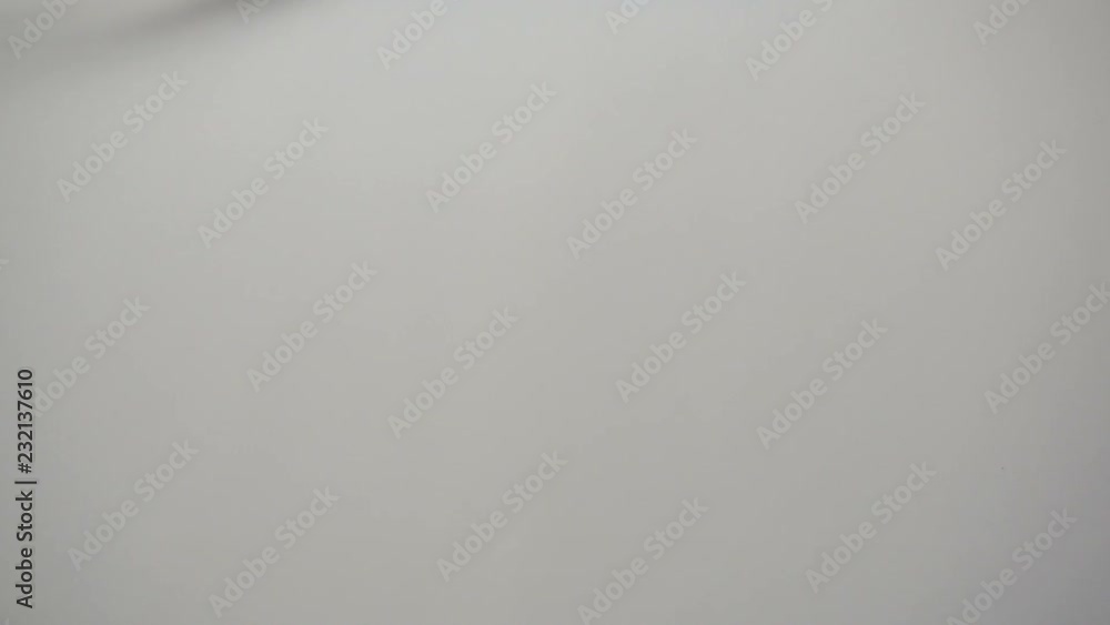 Light Background Light Background
