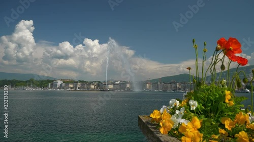 sunny day geneva city lakeside fountain through the flowers slow motion panorama 4k switzerland
