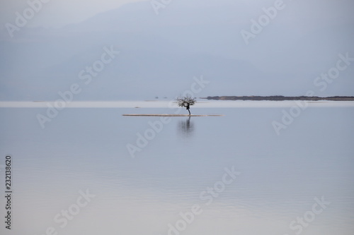 loneliness on the dead sea