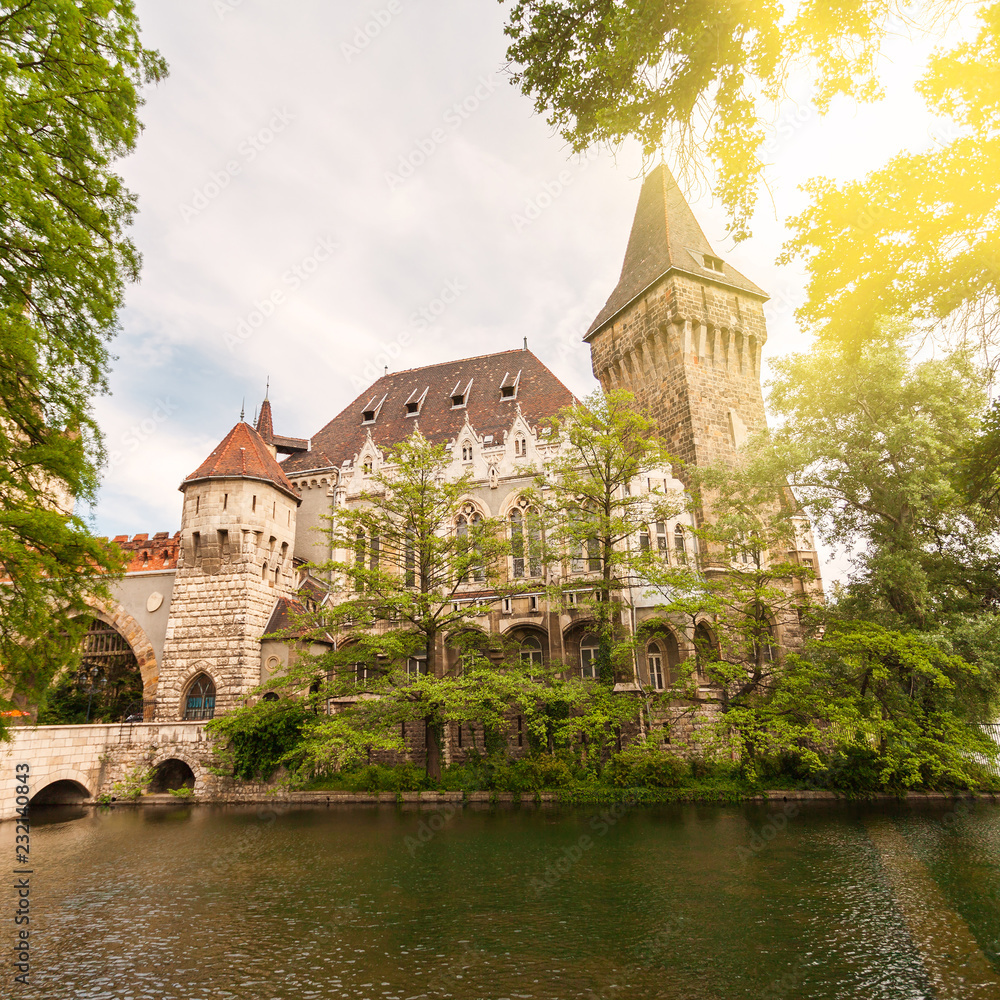 Fototapeta premium Vajdahunyad Castle in the City Park of Budapest, Hungary.