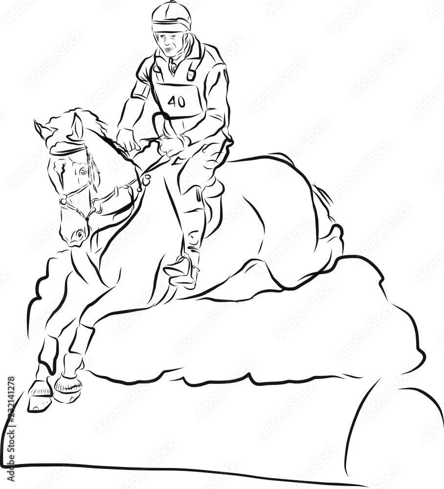 Fototapeta premium horse jumping obstacles during equestrian