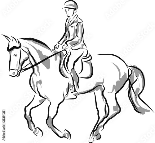 horse jumping obstacles during equestrian