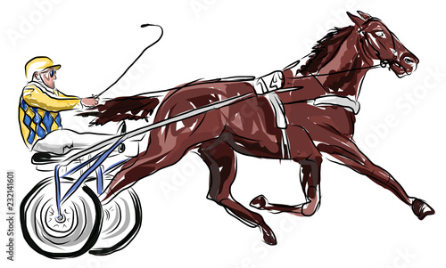 horse jumping obstacles during equestrian