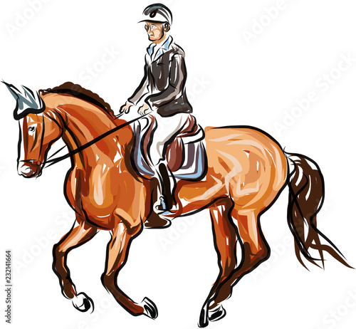 horse jumping obstacles during equestrian
