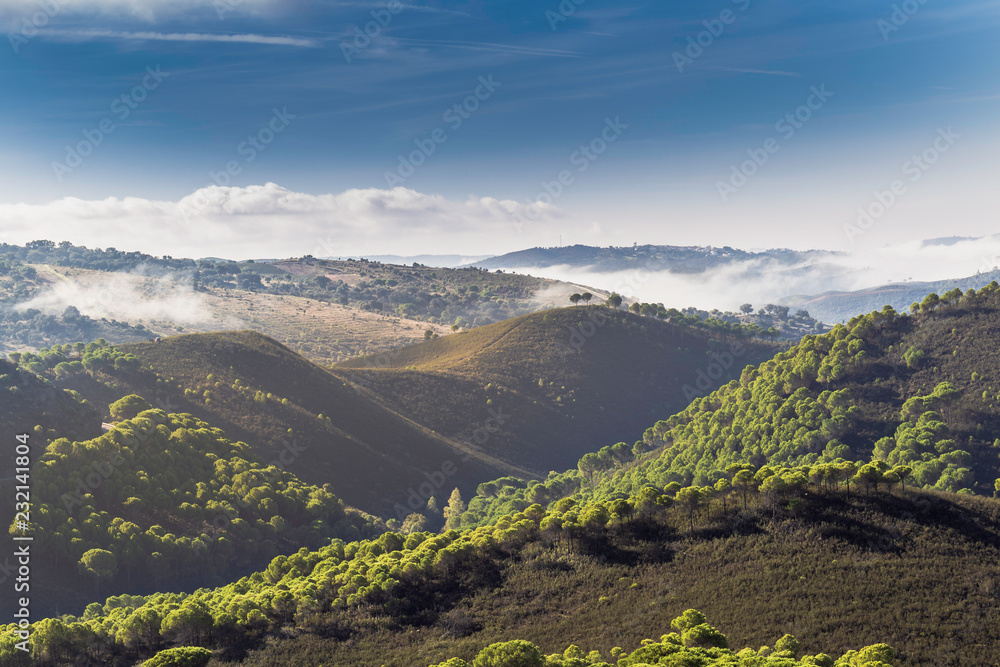 Pine mountains with fog and blue sky with clouds