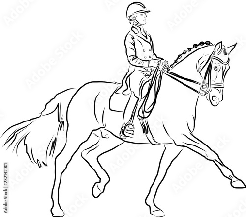 horse jumping obstacles during equestrian