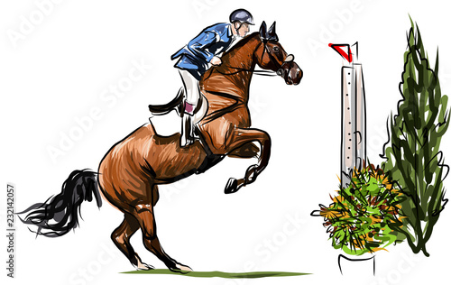 horse jumping obstacles during equestrian