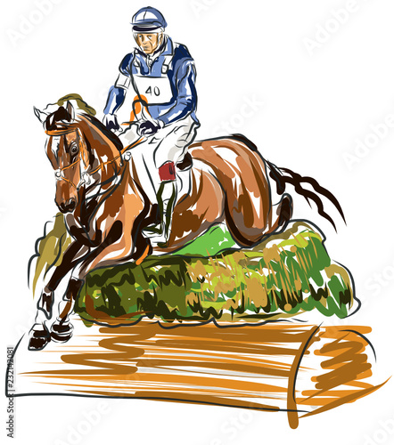 horse jumping obstacles during equestrian