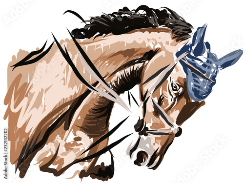 Rider with horse jump over the hurdle