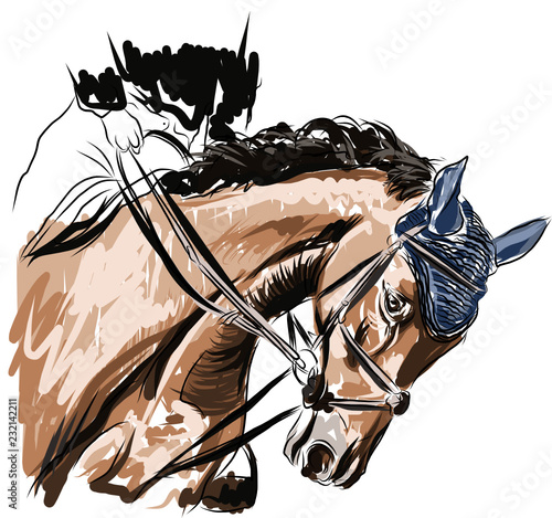 Rider with horse jump over the hurdle