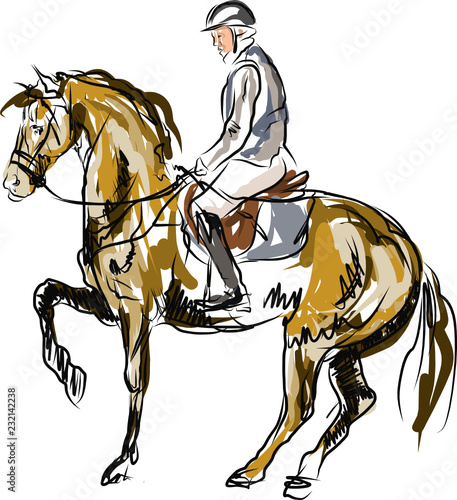 horse jumping obstacles during equestrian
