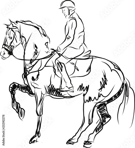 horse jumping obstacles during equestrian