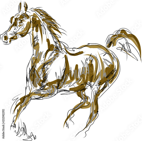 Rider with horse jump over the hurdle
