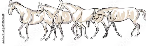 Obraz Jeździec z koniem przeskakuje przeszkodę