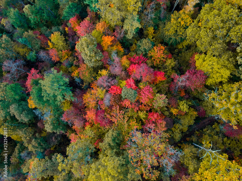 Aerial Drone view of overhead colorful fall / autumn leaf foliage near Asheville, North Carolina.Vibrant red, yellow, teal, orange colors of the Hardwood trees in the Appalachian Mountains.