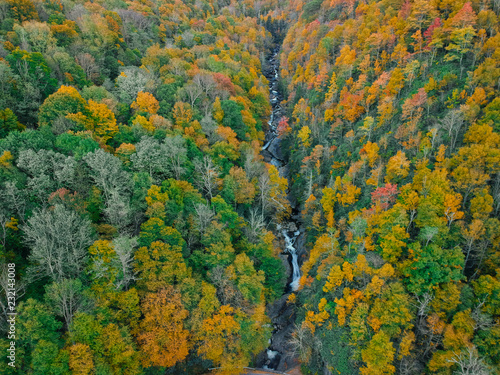 Aerial Drone view of overhead colorful fall / autumn leaf foliage near Asheville, North Carolina.Vibrant red, yellow, teal, orange colors of the Hardwood trees in the Appalachian Mountains.