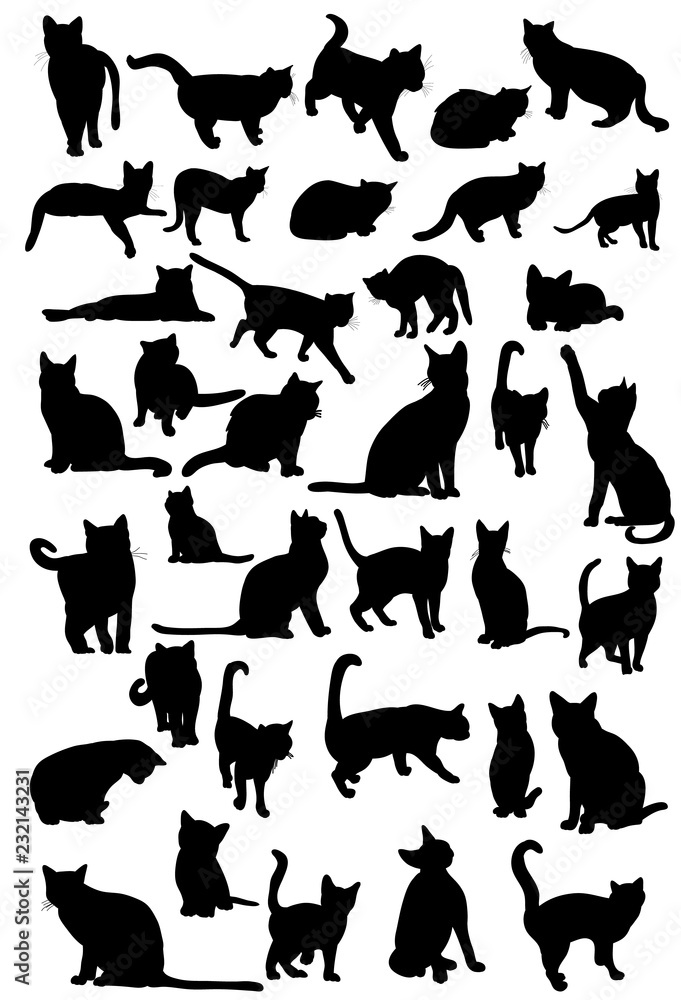 vector, isolated silhouette of cat, collection