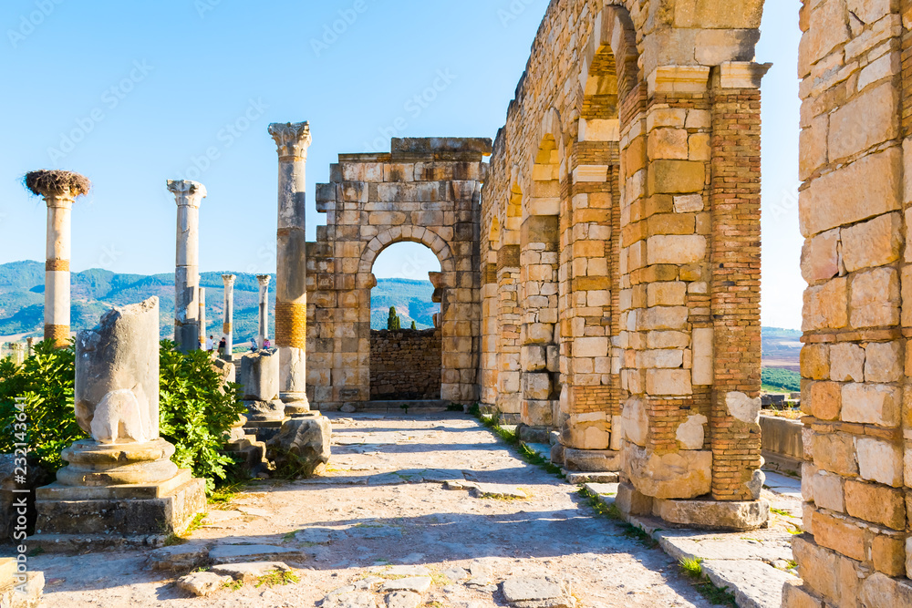 Fototapeta premium Rzymskie starożytne miasto Volubilis, Meknes, wpisane na listę światowego dziedzictwa UNESCO w Maroku