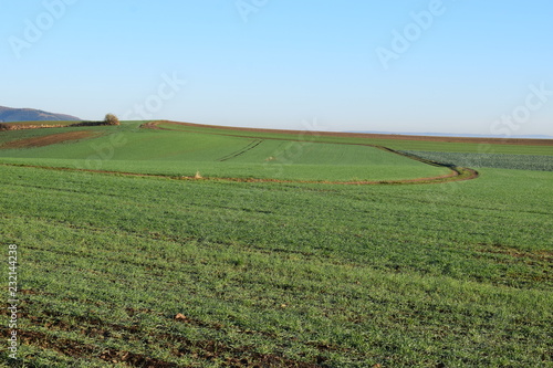 grüne Hügel über Thür, Eifel photo