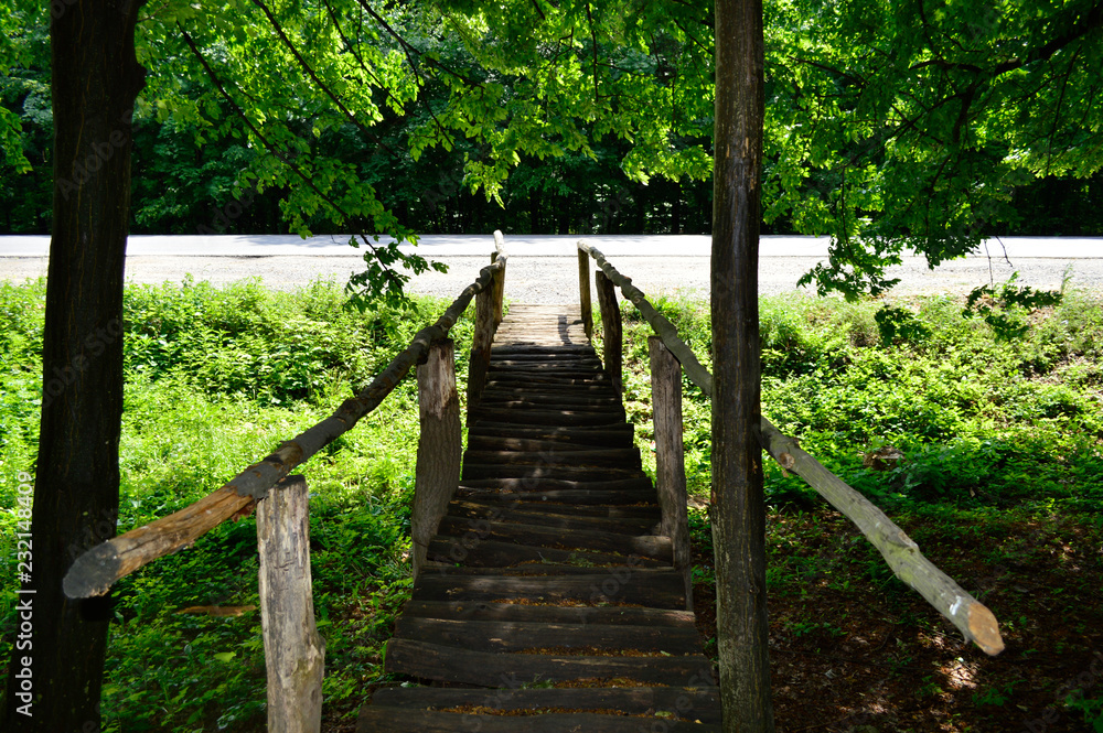 Wooden bridge in the forest in summer