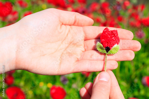 Fototapeta Naklejka Na Ścianę i Meble -  Field with poppies under blue sky