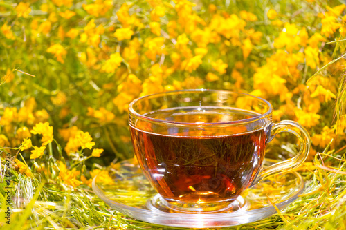 Tea composition on meadow and flowers
