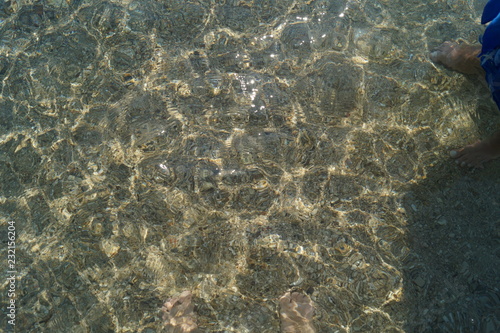 Seabed through the glaring surface of the sea