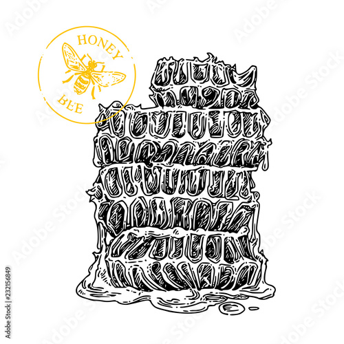 Stack of honeycomb pieces and stamp with bee. Sketch. Engraving style. Vector illustration.