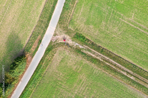 field grass from sky with drone 