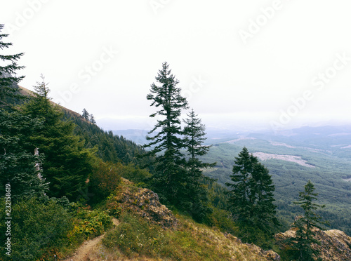 On the side of a hill