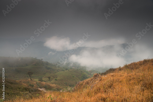 misty in mountain at north Thailand © nattapon