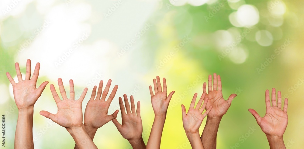 Set of raised hands, isolated