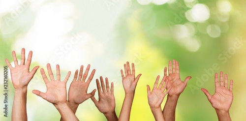Set of raised hands, isolated