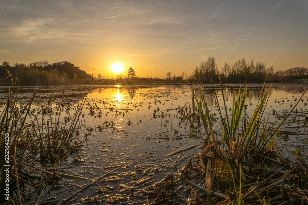 Obraz premium Sunset at a pond on a golf course. Concept: vacation and travel