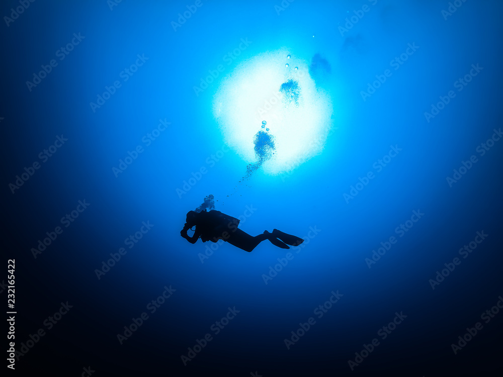 Fototapeta premium Deep diving