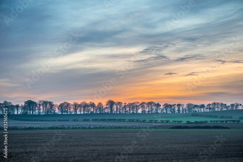 A Line Of Trees In Front Of A Sunset Sky