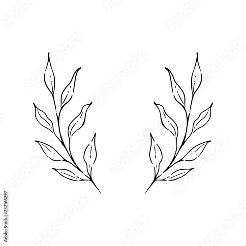 Hand drawn branches and leaves. Vector design elements. Nature vector illustration.