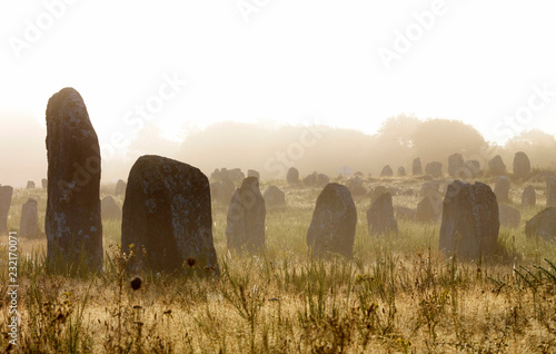France, Brittany, Morbihan, Carnac, megalithic menhir alignments of Menec in fog photo