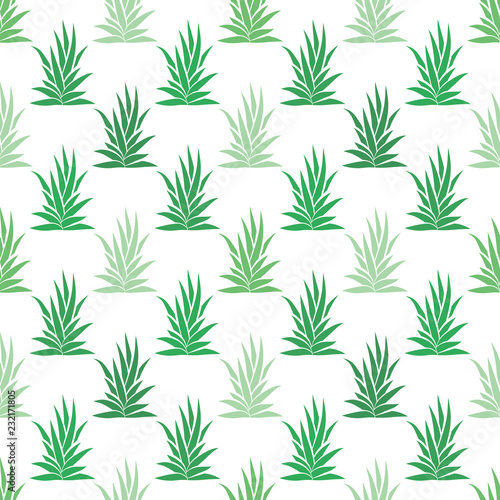 Seamless pattern with tropical  succulent plants  bushes. Floral ornament on a white background. Vector illustration.