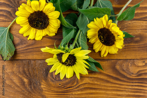 Fototapeta Naklejka Na Ścianę i Meble -  Decorative sunflowers on the wooden background