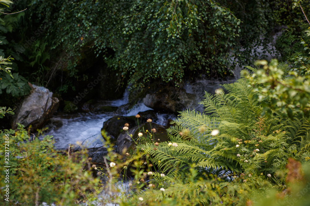 Mountain river in Georgia flows through the rocks, lush green grass grows along the banks. Crystal clear mountain water shimmers in the sun. Mountain river in Georgia flows through the rocks, lush green grass grows along the banks. Crystal clear mountain water shimmers in the sun.