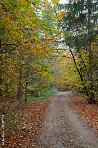 Herbstlandschaft