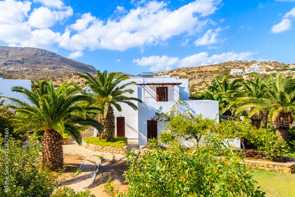 Beautiful holiday villa and tropical garden in Ammopi village, Karpathos island, Greece
