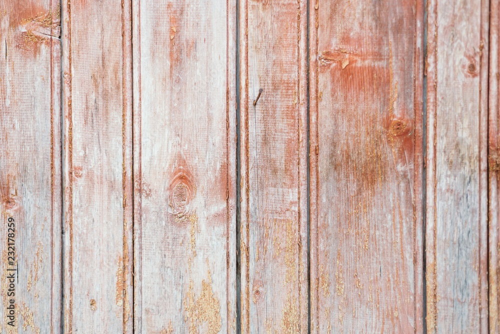 texture from a tree of red and blue color texture from a tree of red and blue color