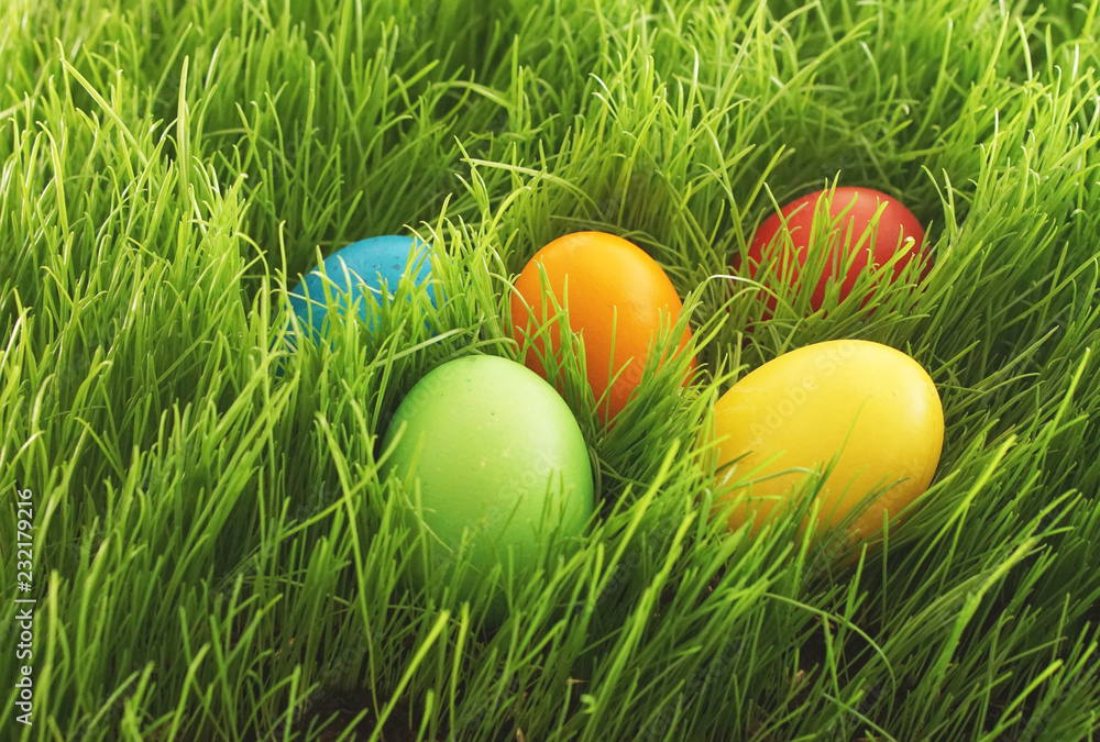 easter eggs hidden in green grass