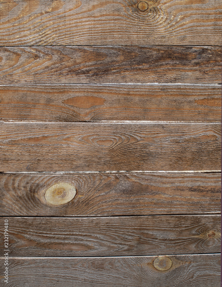 custom made wallpaper toronto digitalOLYMPUS DIGITAL CAMERA